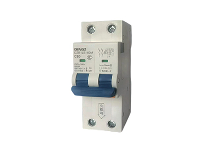 DZB1LE-80M series miniature circuit breaker