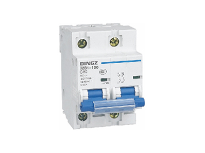 DZB1-100 series miniature circuit  breaker